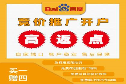 某行业SEM竞价专员的成功策略与经典案例